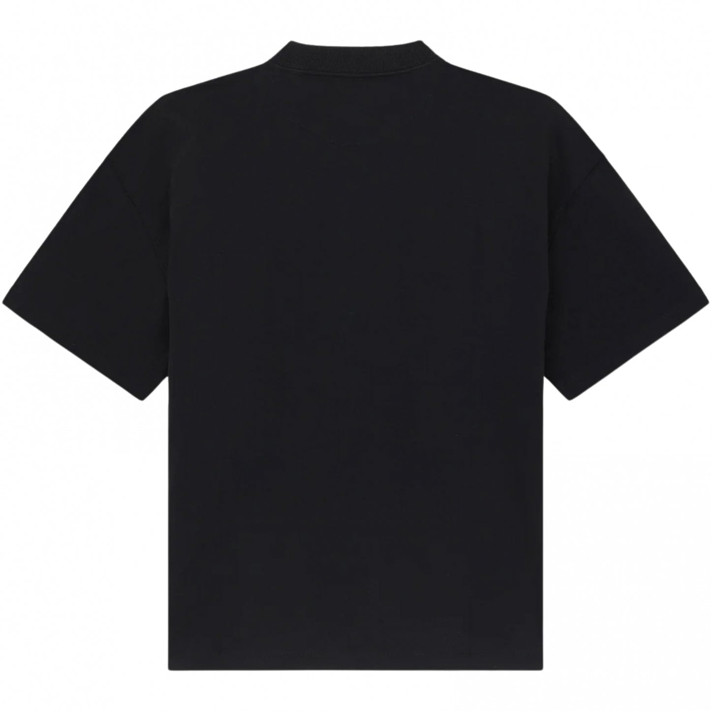 Maglietta Dickies Mineral Heavyweight SS Tee NERO