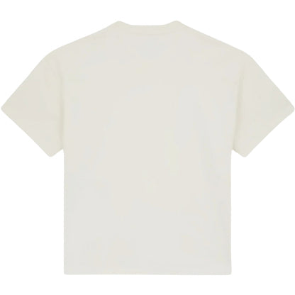 Maglietta Dickies Mineral Heavyweight SS Tee UNICO