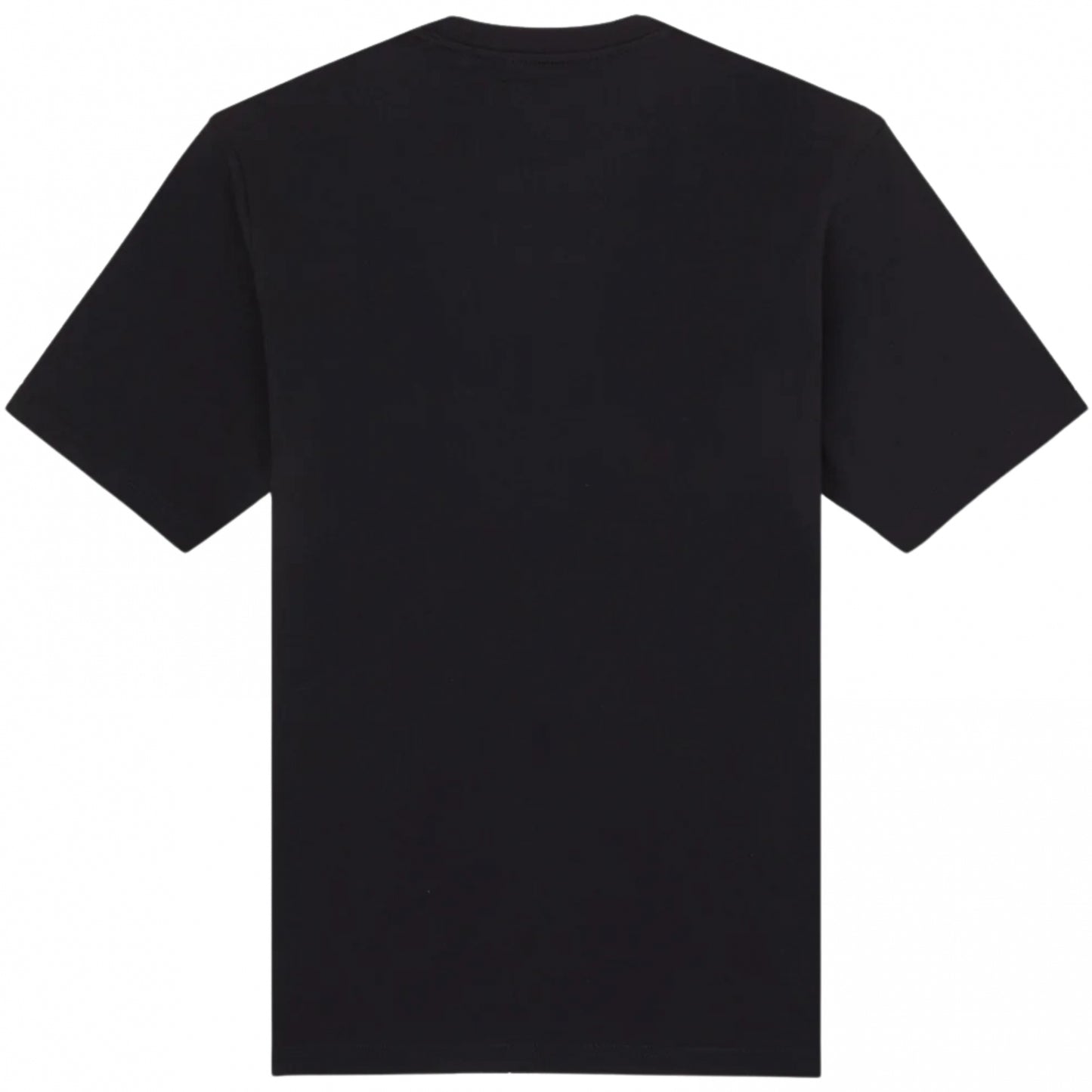 Maglietta Dickies Mapleton SS Tee NERO