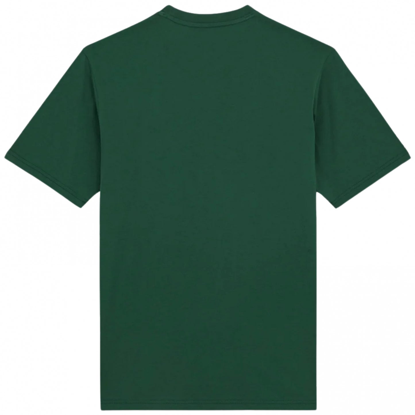 Maglietta Dickies Mapleton SS Tee VERDE