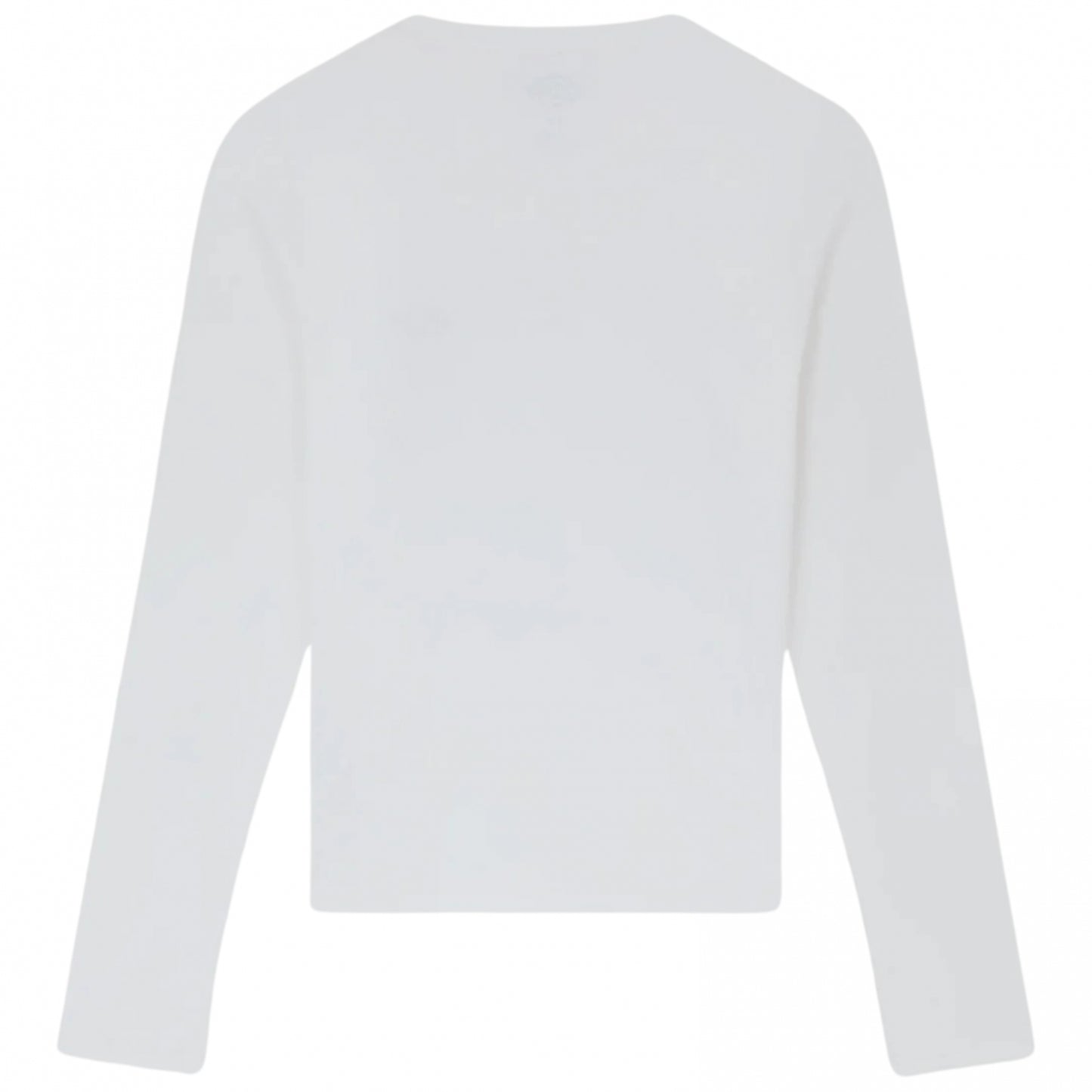 Maglietta Dickies Gladeville LS Tee BIANCO