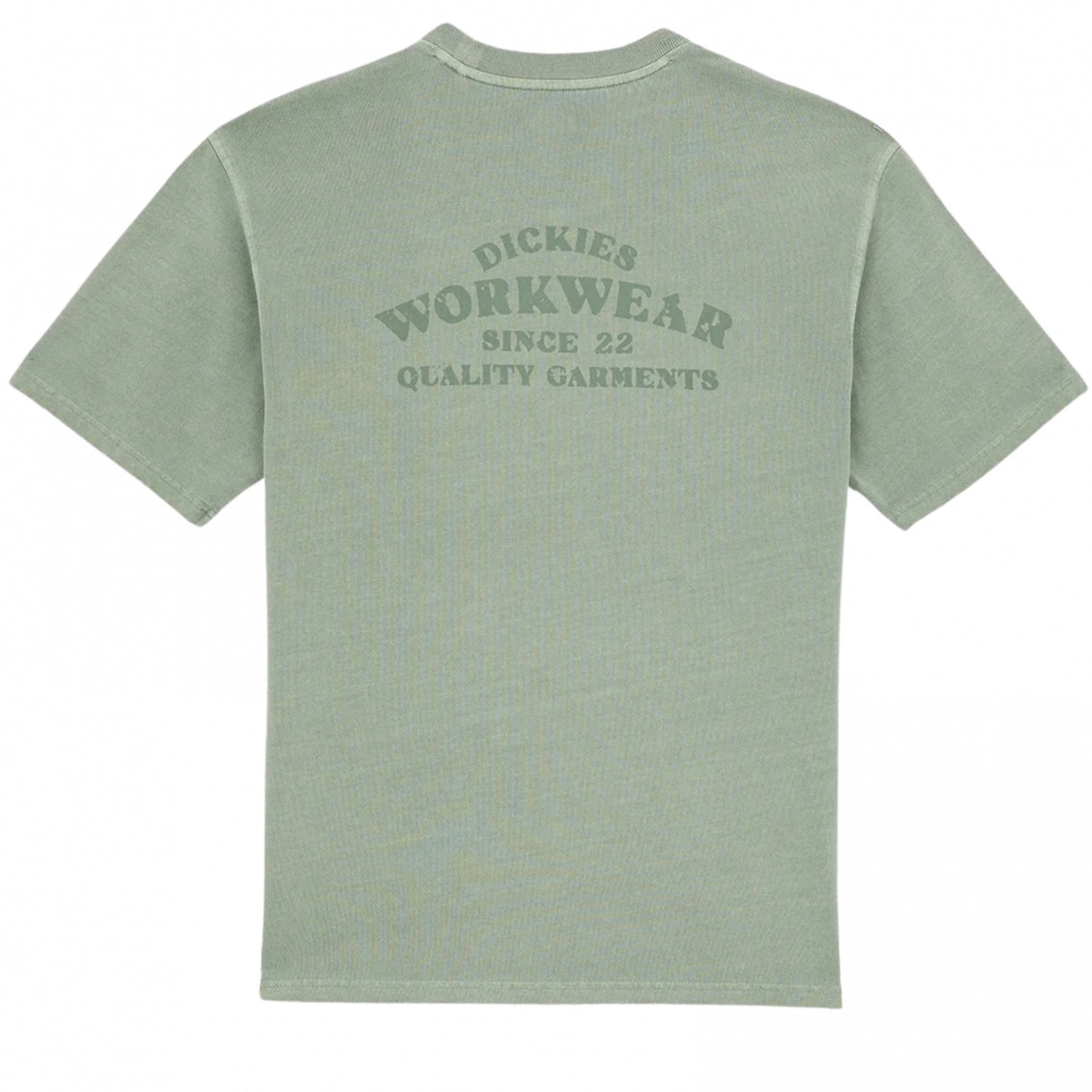 Maglietta Dickies Christiana GD SS Tee AZZURRO