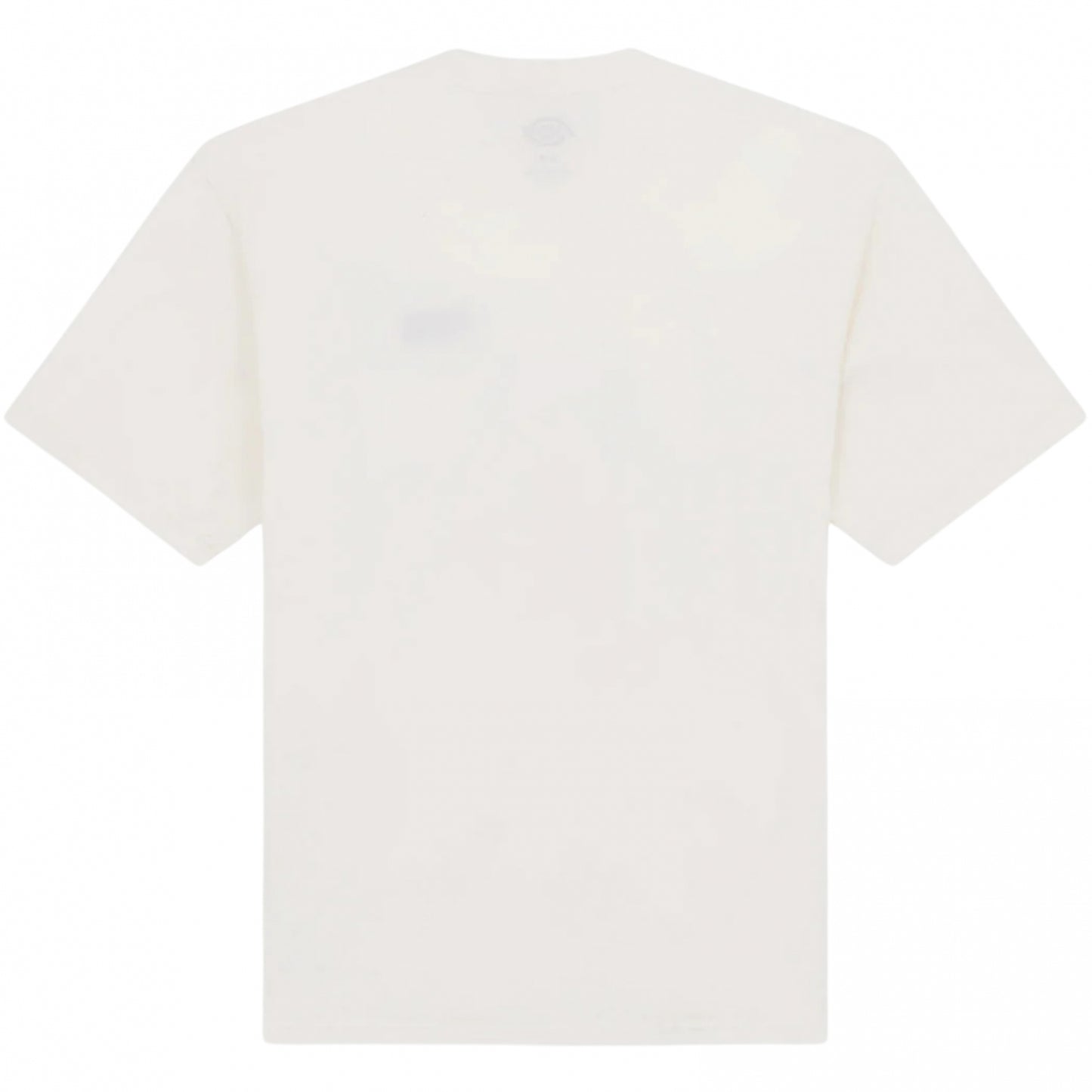 Maglietta Dickies Flag SS Tee UNICO