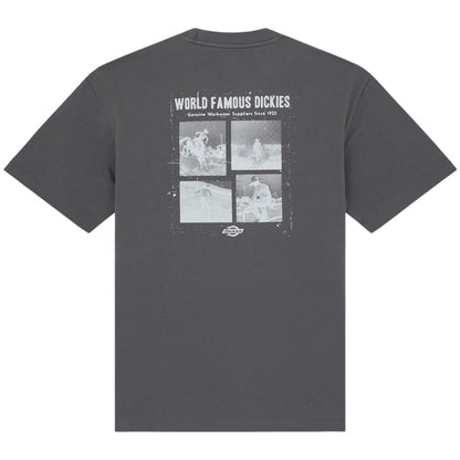 Maglietta Dickies Wolfhurst SS Tee GRIGIO