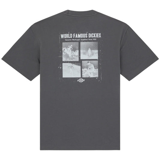 Maglietta Dickies Wolfhurst SS Tee GRIGIO