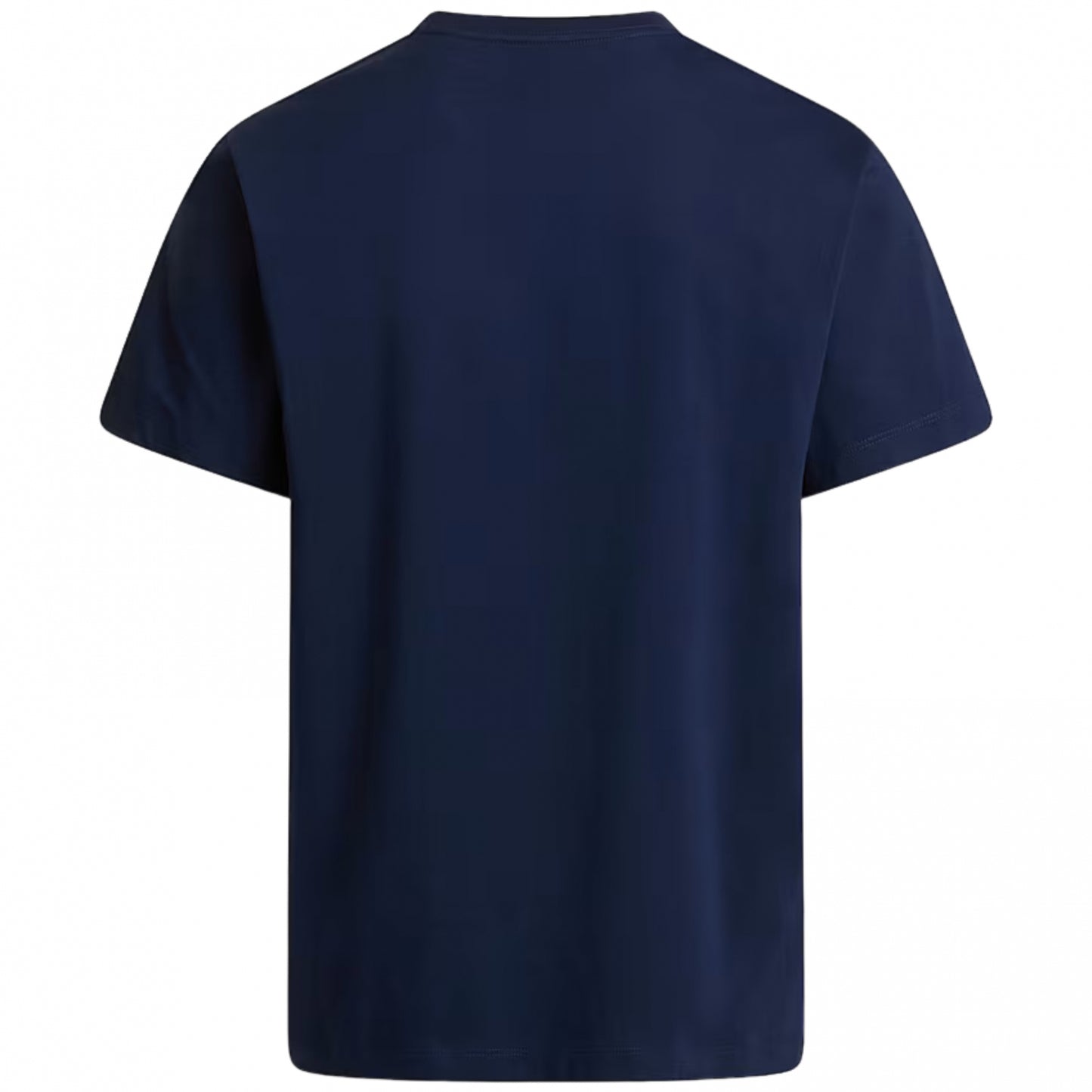 Maglietta TNF Evolution Simple Dome Regular SS Tee