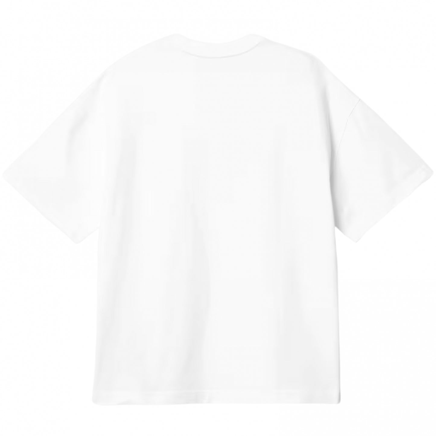 Maglietta Carhartt WIP SS link Script Tee BIANCO