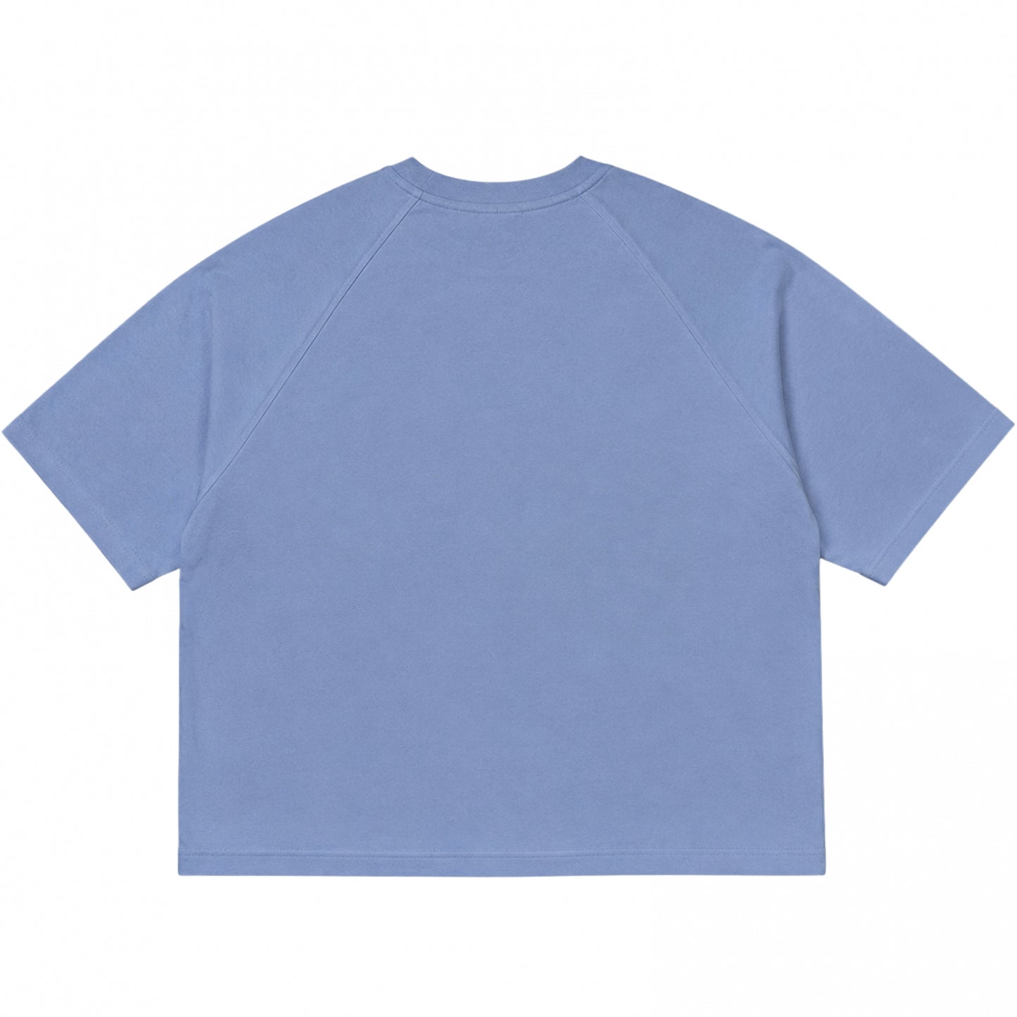 Maglietta Antykorpo SS Tee CELESTE
