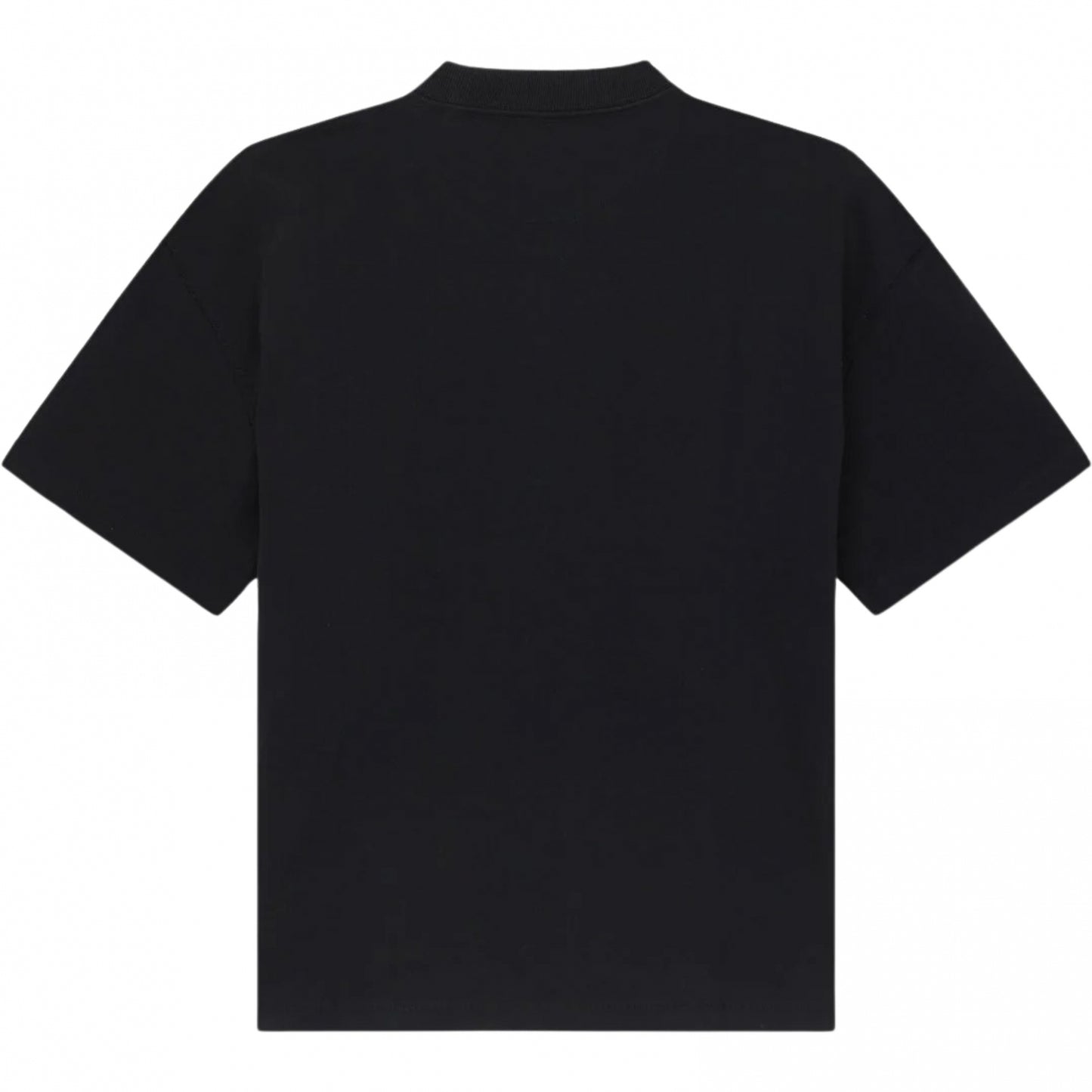Maglietta Dickies Mineral Heavyweight Tee