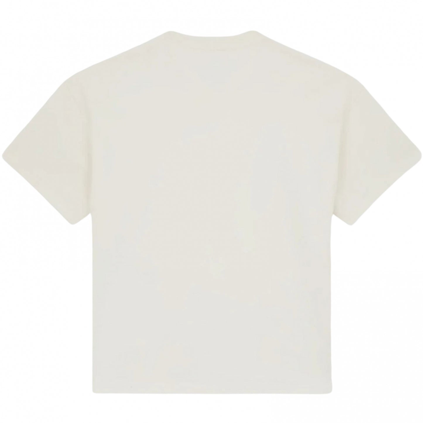 Maglietta Dickies Mineral Heavyweight Tee