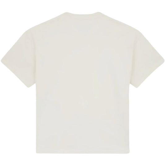 Maglietta Dickies Mineral Heavyweight Tee