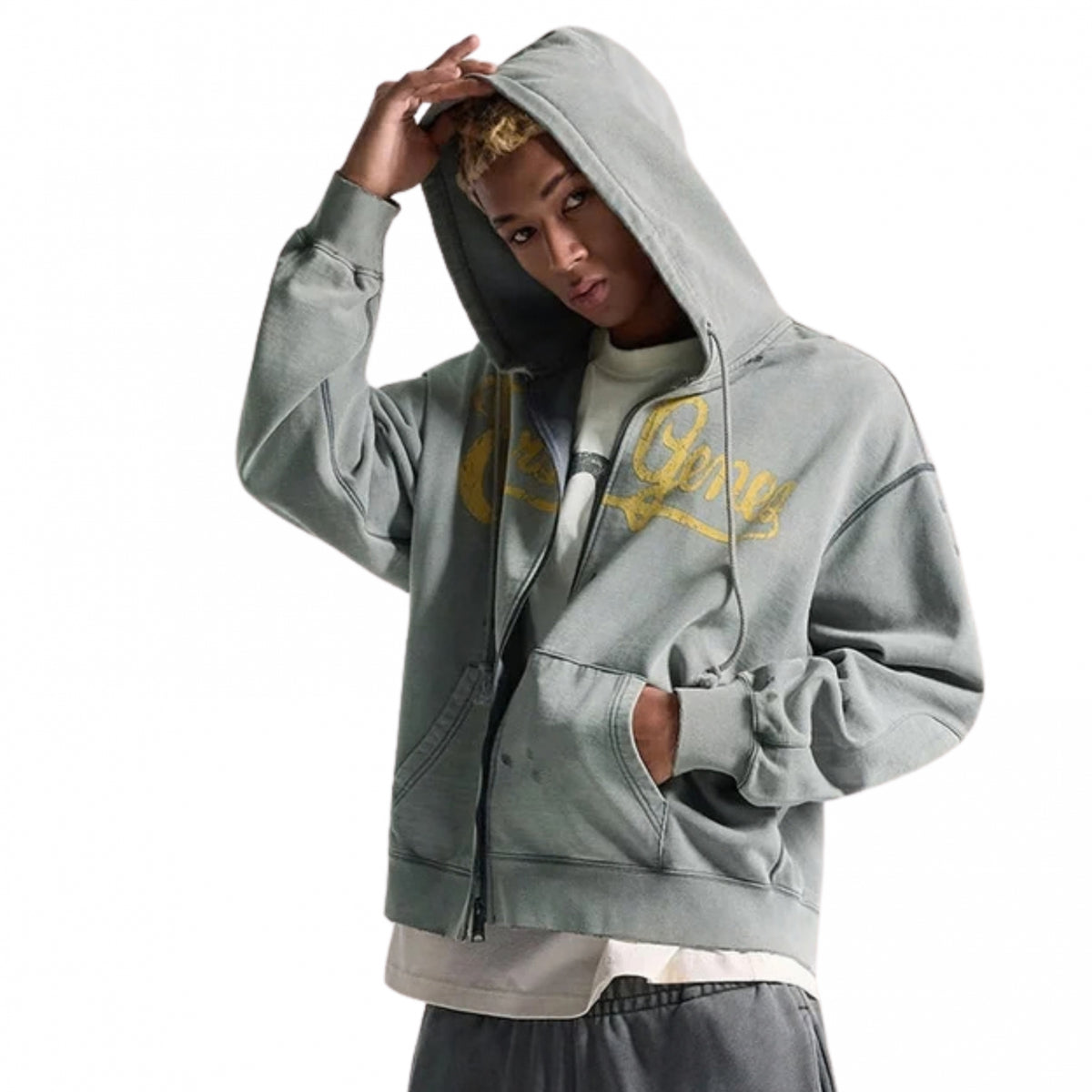 Felpa Evisu Evisu Genes Logo Zip-Up Hoodie GRIGIO