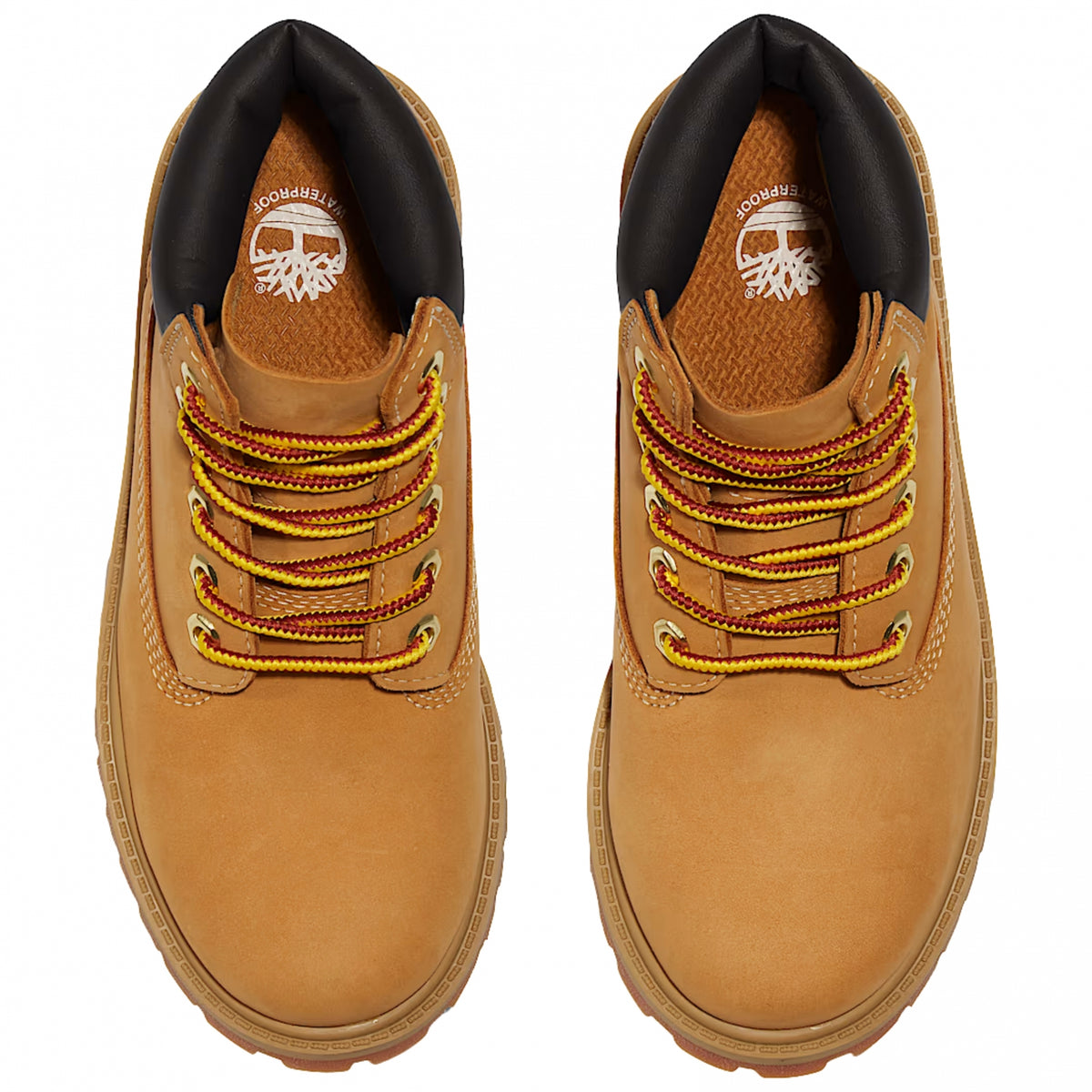 Scarpa Timberland Kids Premium 6 Inches Lace Water UNICO